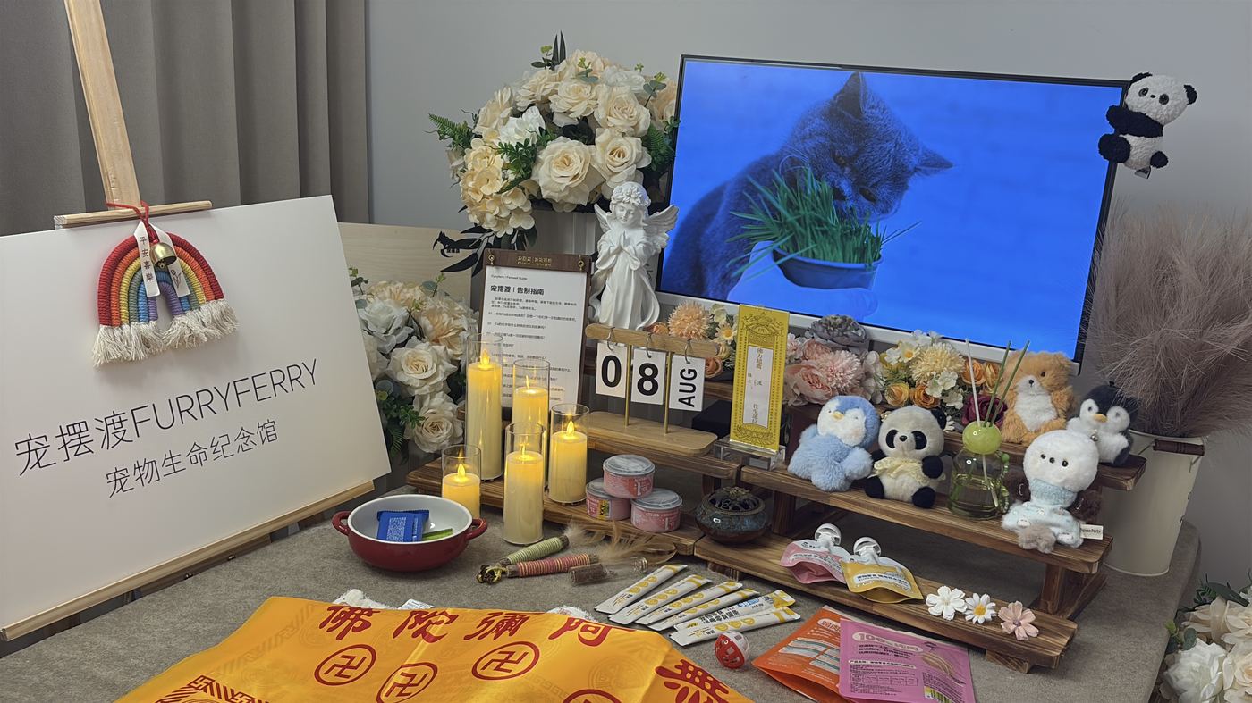 天津宠物告别厅布置：如何给津门家属一个体面的告别