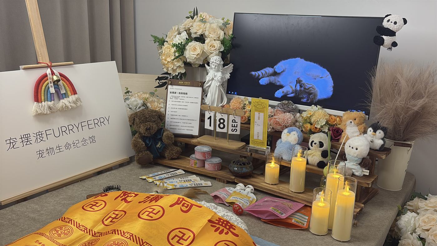 怎么拿到死亡证明