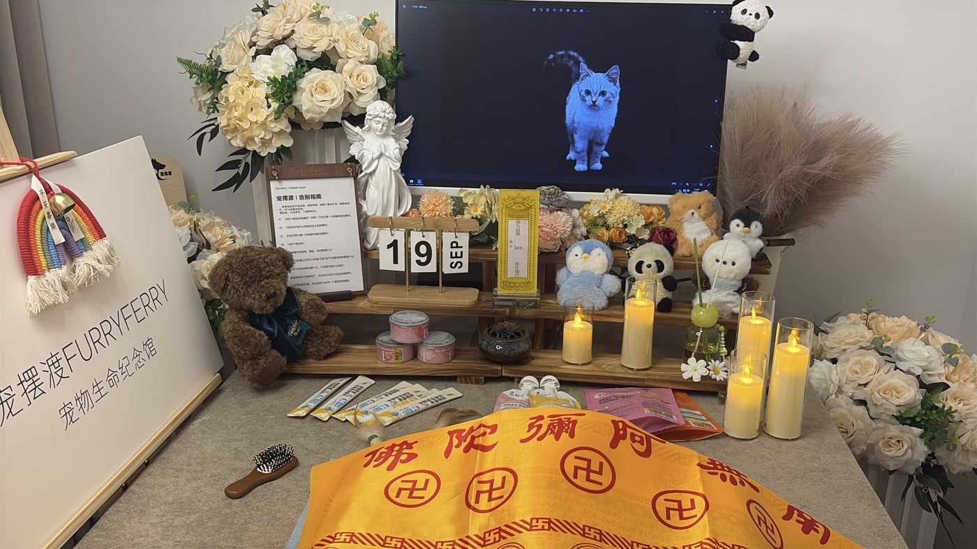 体型与费用的关系